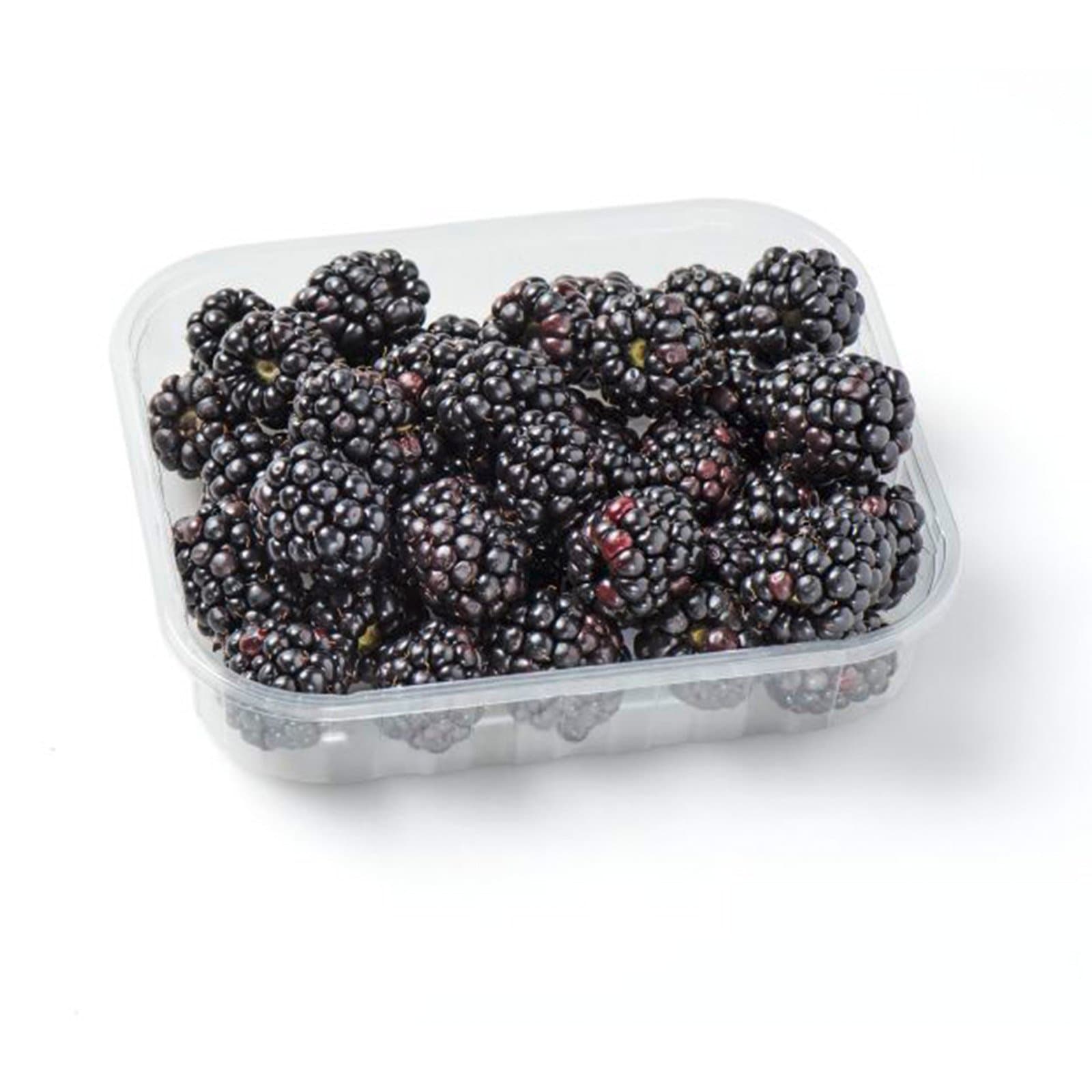 Brombeeren