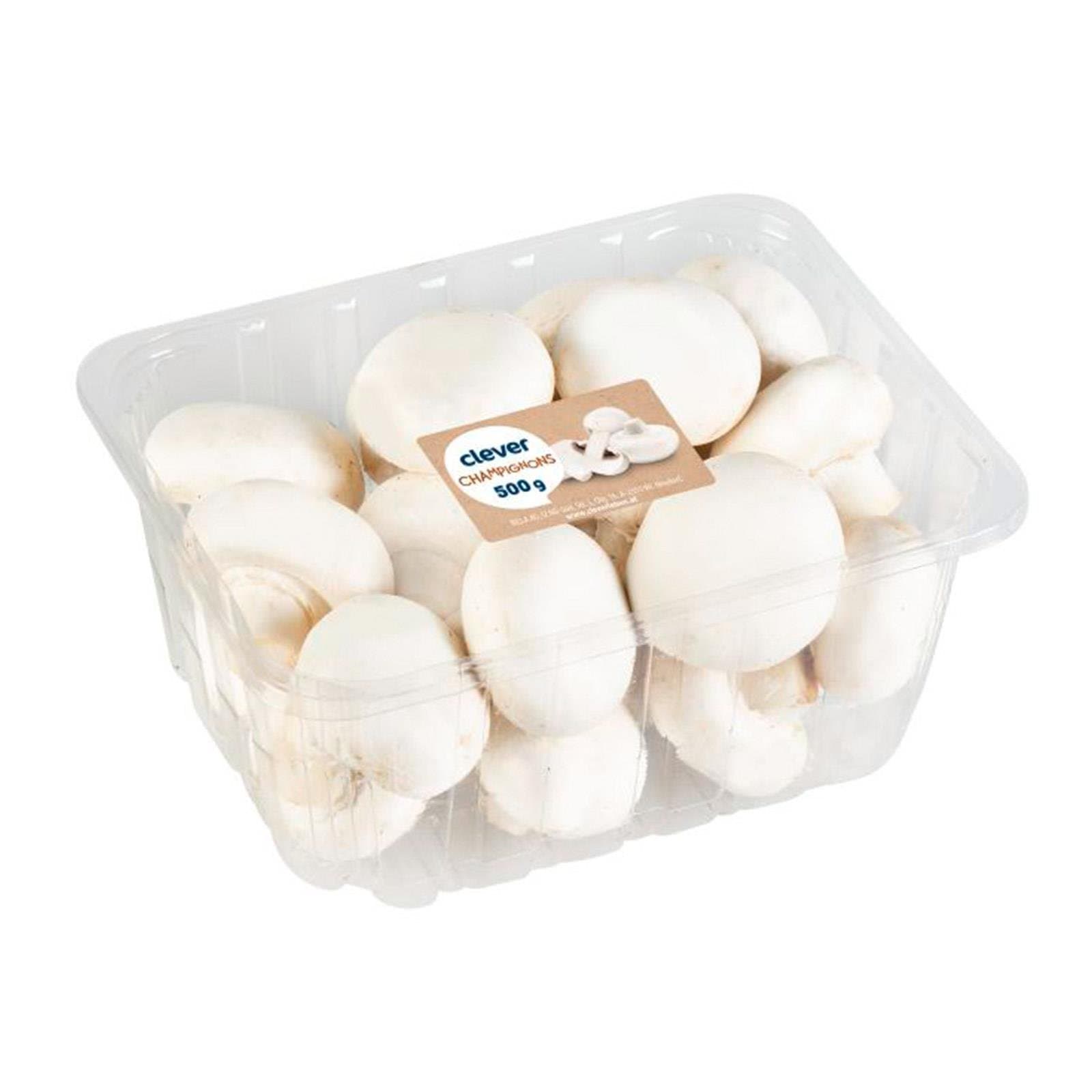 Clever Champignon