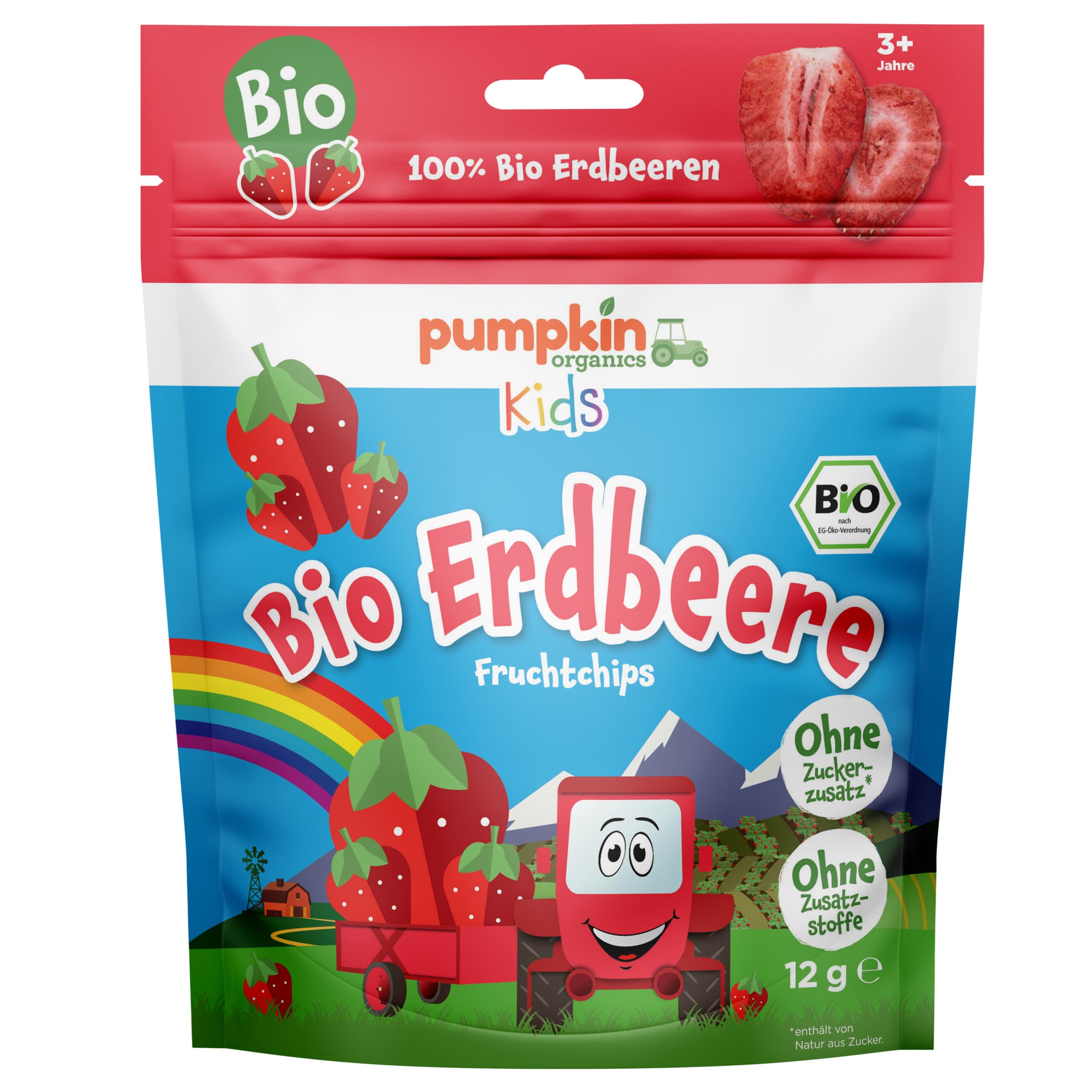 Pumpkin Organics Fruchtchips Erdbeer Bio