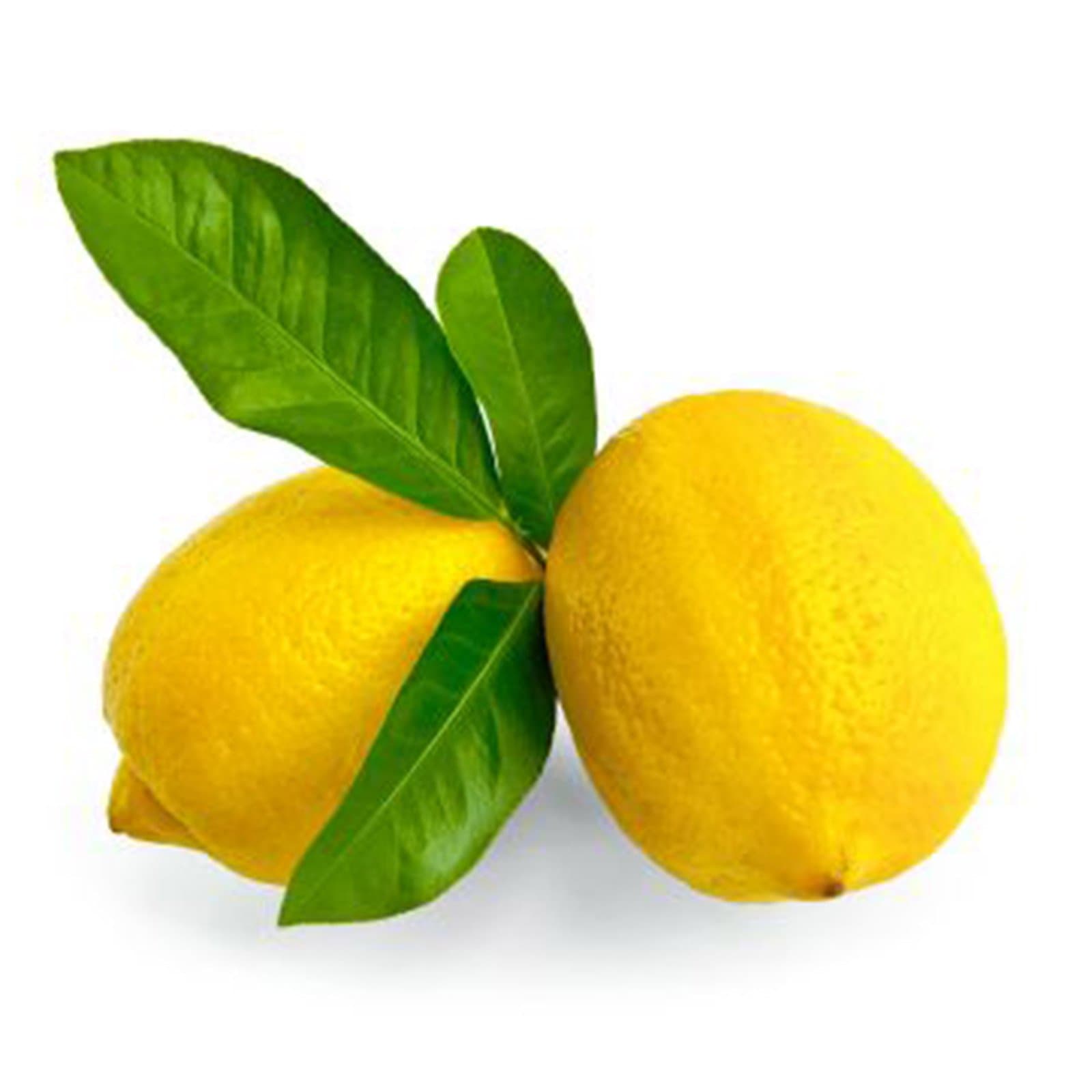 BILLA Zitrone Bio