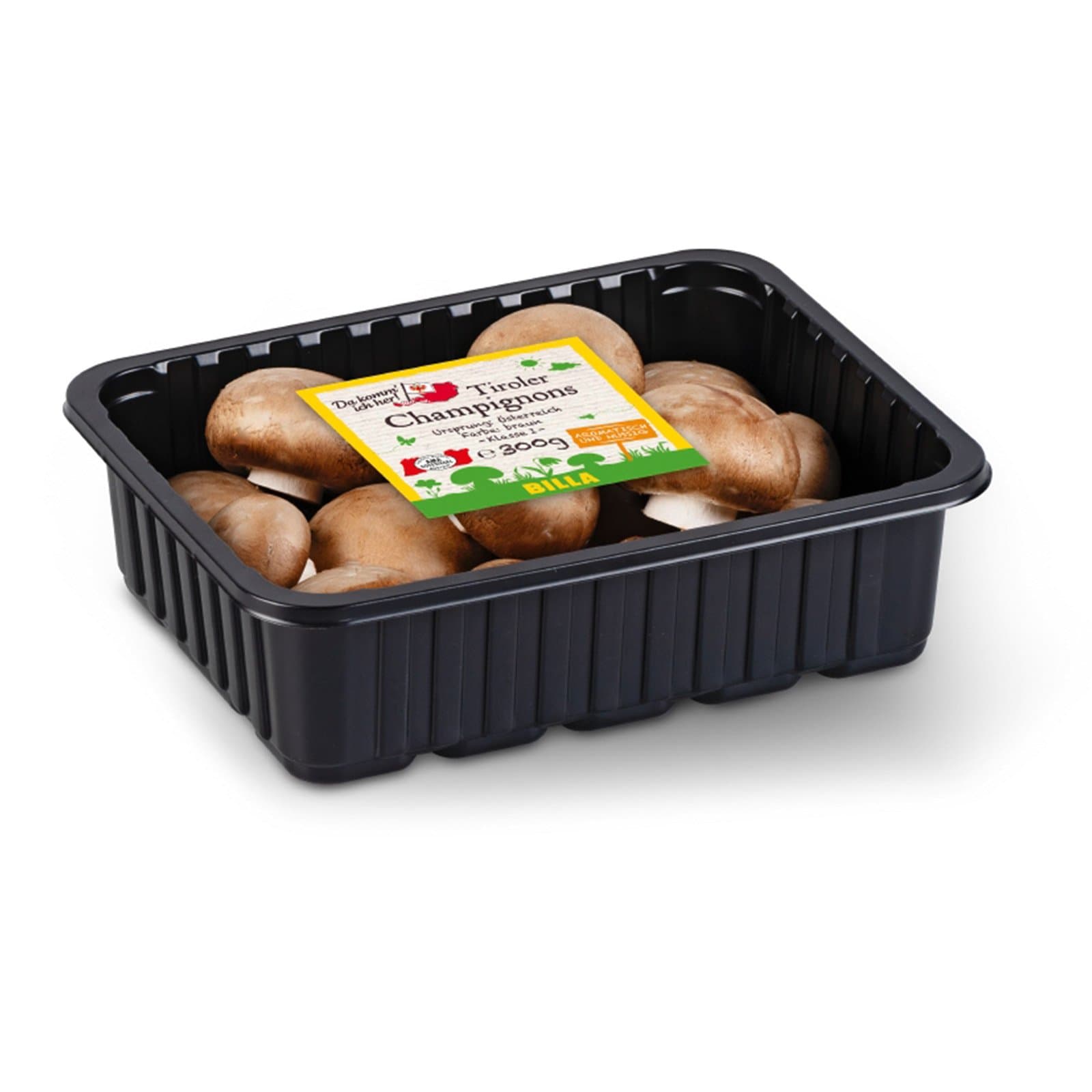 Da komm ich her! Champignons Braun