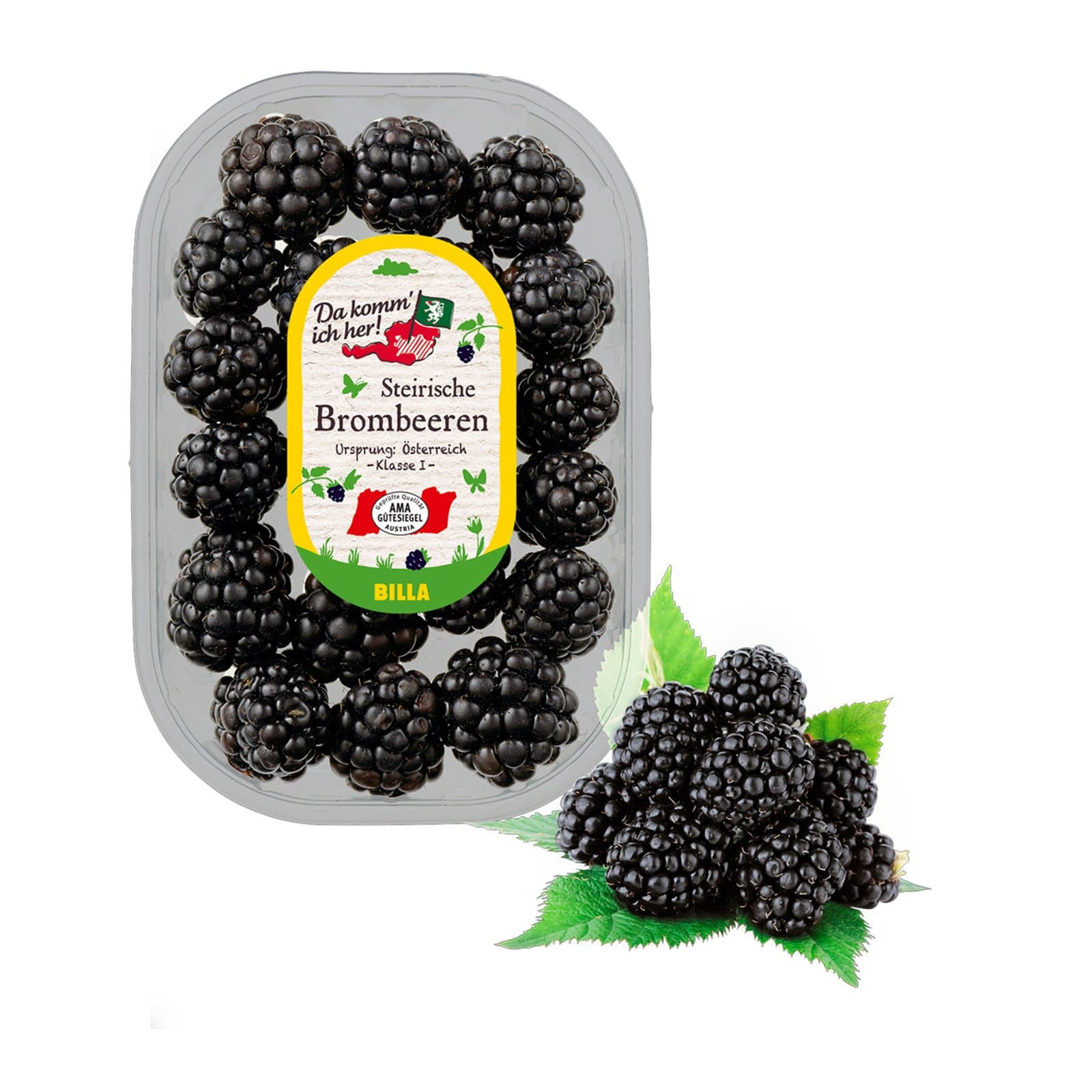 Brombeeren