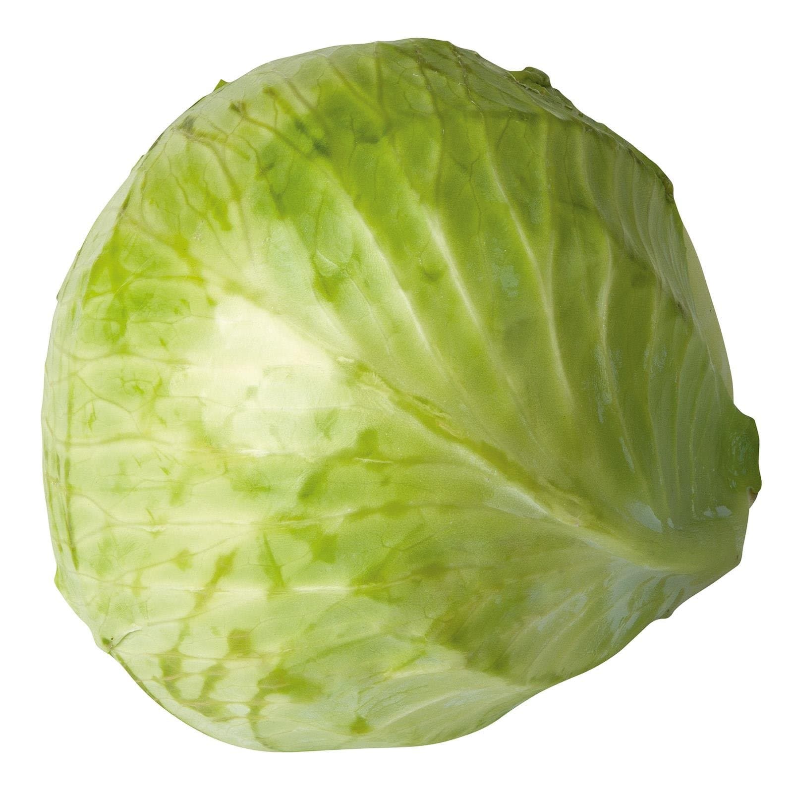 Da komm ich her! Weisskraut